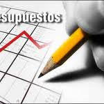 presupuesto entidad no lucrativa - puche29